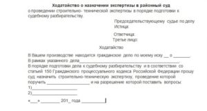 Ходатайство о назначении генетической экспертизы образец бланк