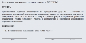 Ходатайство о приостановлении производства по делу образец бланк