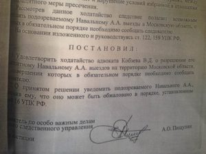 Ходатайство об изменении меры пресечения образец бланк