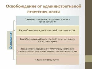 Ходатайство об освобождении от административной ответственности в связи с малозначительностью