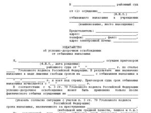 Ходатайство потерпевшего образец бланк