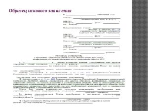 Иск юр лица к физ лицу в городской суд образец