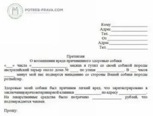 Исковое заявление о возмещении морального ущерба причиненного укусом собаки