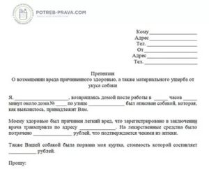 Исковое заявление о возмещении морального ущерба причиненного укусом собаки
