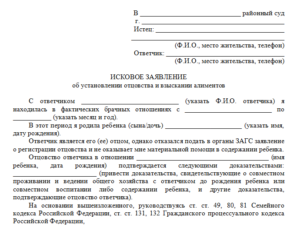 Исковое заявление об установлении факта образец бланк