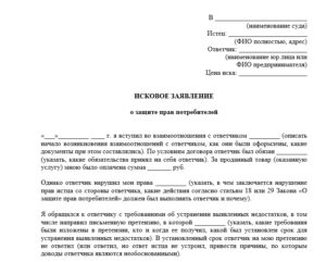 Исковое заявление по защите прав потребителя по несостоявшемуся туру