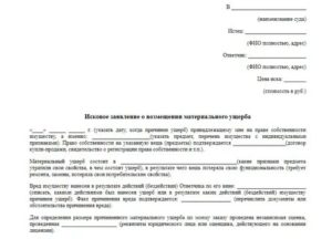 Исковое заявление в суд о возмещении материального ущерба угон автомобиля