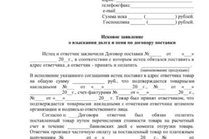 Исковое заявление в суд о взыскании неустойки по договору займа