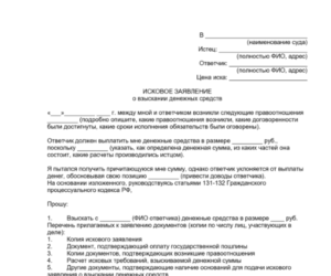 Исковое заявление в суд о взыскании с туристической фирмы денежных компенсаций