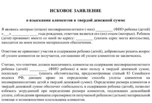 Изменение размера алиментов на твердую денежную сумму подсудность