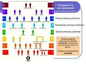 К Какой Очереди Наследников Относятся Племянники