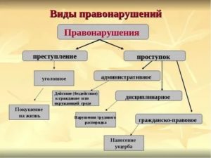 К уголовным видам правонарушение относятся преступления и проступки