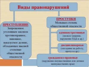 К уголовным видам правонарушение относятся преступления и проступки