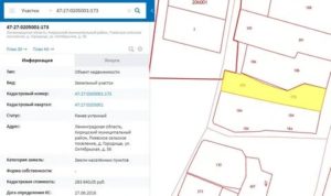 Кадастровый Номер Многоквартирного Дома Как Узнать