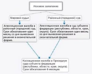 Как Часто Апелляция Отменяет Решение Районного Суда