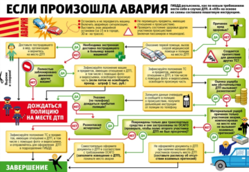 Как действовать при ДТП по ОСАГО?