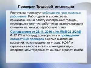 Как Действует Трудовая Инспекция