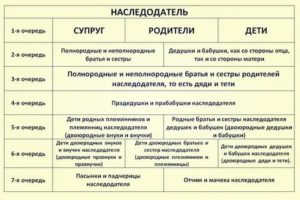 Как Делится Наследство После Смерти Сына