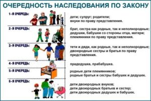 Как Делится Наследство После Смерти Сына