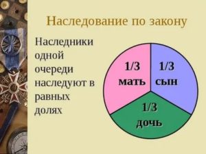 Как Делятся Доли в Наследстве по Закону
