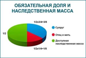 Как Делятся Доли в Наследстве по Закону