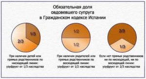 Как Делятся Доли в Приватизированной Квартире
