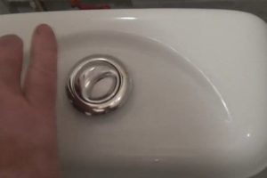 Как экономить воду в квартире со счетчиком: эффективные способы