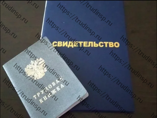 Как и где посмотреть электронный больничный лист