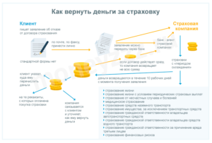 Как можно вернуть деньги через страховую за пройденные анализы