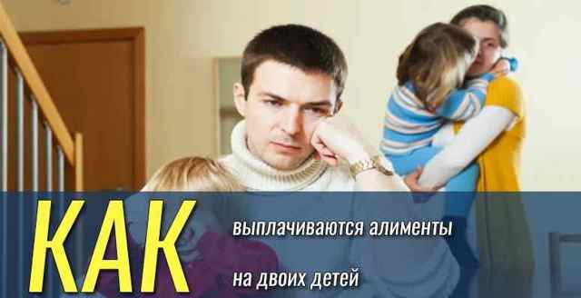 Как начисляются алименты на 2 детей в 2019 году