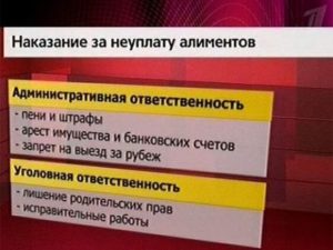 Как наказать неплательщика алиментов