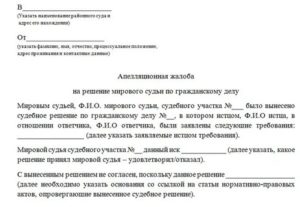 Как Написать Ходатайство в Апелляционный Суд
