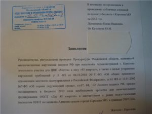 Как написать заявление на главу администрации города