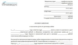 Как Написать Заявление в Суд на Должника