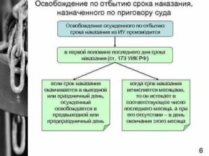 Как называется смягчение наказания или освобождение от него