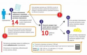 Как не Потерять Работу до Оформления Регресса