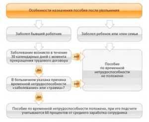 Как не Потерять Работу до Оформления Регресса