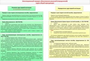 Как Обжаловать Апелляционное Определение Верховного Суда Республики