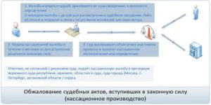 Как Обжаловать Апелляционное Определение Верховного Суда Республики
