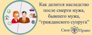 Как Оформить Дачу После Смерти Мужа