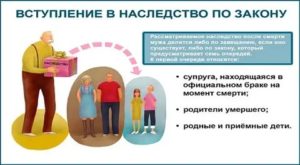 Как Оформить Дачу После Смерти Мужа