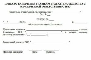 Как Оформить на Работу Главного Бухгалтера