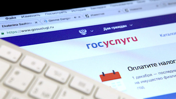 Как оформить пособие на питание для беременной или кормящей мамы и на детей