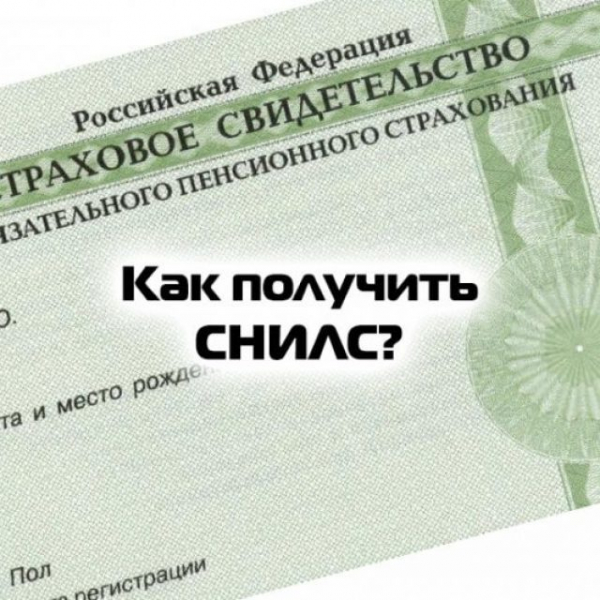 Как оформить снилс ребенку &mdash; все об этой процедуре