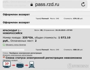 Как оформить возврат жд билета на сайте ржд