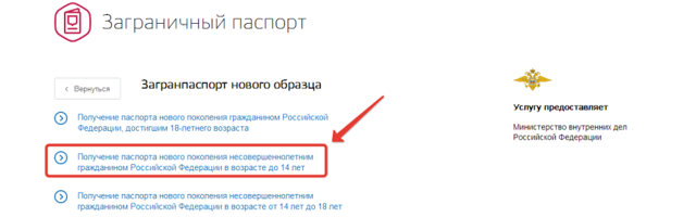 Как оформить загранпаспорт ребенку до 14 лет через госуслуги