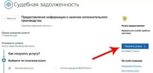 Как Оплатить Алименты Через Госуслуги