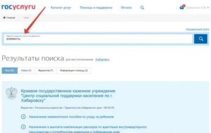 Как Оплатить Алименты Через Госуслуги