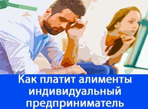 Как платить алименты ип: порядок начисления, форма и сумма