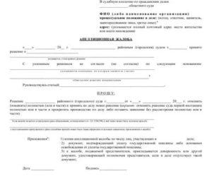 Как Подать Апелляционную Жалобу в Областной Суд